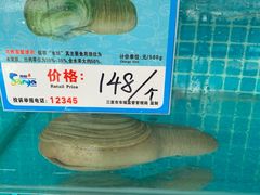 -琼大师东方烤乳猪(亚特兰蒂斯店)