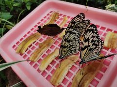 -昆明市金殿名胜区