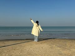 -汕尾风车岛