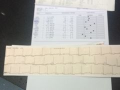 -康成宠物医院24H·CT·核磁共振