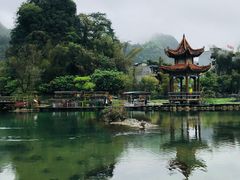 -靖西鹅泉风景区