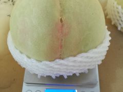 -老袁家蜜桃农场·阳山水蜜桃