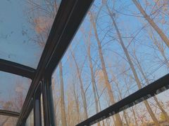 -合肥滨湖国家森林公园