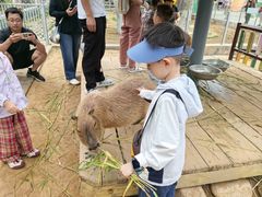 -西霞口神雕山野生动物世界