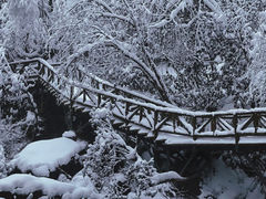 -龙苍沟森林公园
