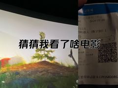 -万达影城(江桥万达广场IMAX店)