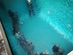 -金泽21世纪美术馆