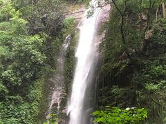 -莫里热带雨林景区