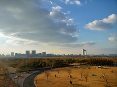 -春花秋色城市公园