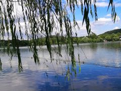 -西湖外事游船(花港观鱼码头)