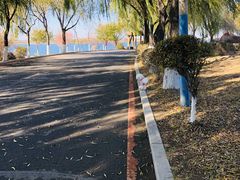 -丁香湖公园