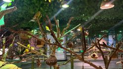 -酷嗒动物文化乐园(cutezoo西溪乐天城店)