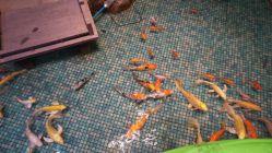 -酷嗒动物文化乐园(cutezoo西溪乐天城店)