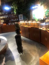 -天空之城家庭互动游乐场