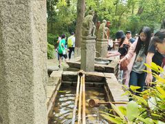 -天目湖山水园