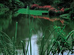 -桤木河湿地公园