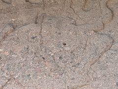 -磬锤峰森林公园