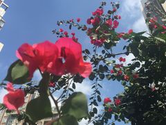 -万达影城(金牛万达广场激光IMAX店)