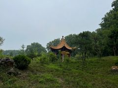-河南省黄河迎宾馆