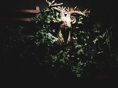 -HUNTING BAR亨霆鸡尾酒馆(越秀淘金店)