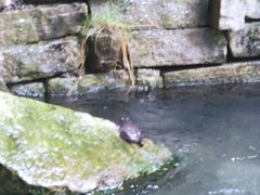 -水磨沟公园