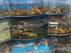 -渔中舟海鲜大排档(普陀沈家门店)