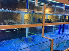 -宴悦海鲜餐厅Driftwood·游水海鲜·牛排(亚龙湾瑞吉店)