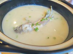 白汤河豚鱼-天正河鲀·河豚亭(大连店)