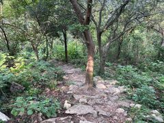-南京老山国家森林公园