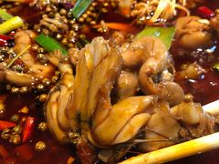 -宽口美蛙鱼头(大唐西市店)