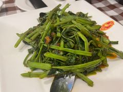 -文东记(马里士他路)