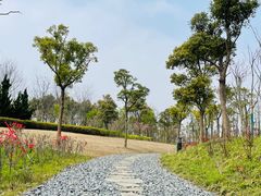 -春花秋色城市公园