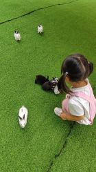 -萌宠亲子动物乐园(槐房万达店)