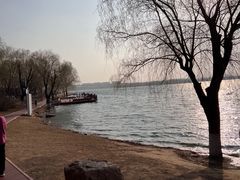 -丁香湖公园
