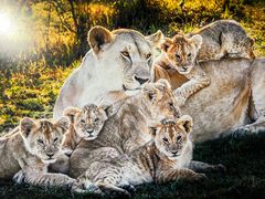 -罗红摄影艺术馆