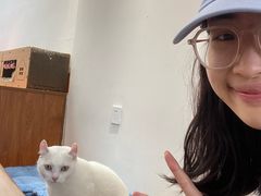 -有猫主题·治愈系猫咖(曾厝垵店)