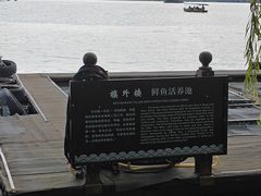 -楼外楼(西湖景区孤山路店)