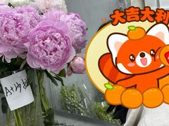 -循礼门鲜花花市(武汉循礼门店)