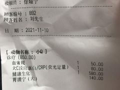 -特一安24小时宠物医院·骨科·中兽医