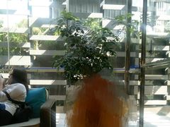 -宜必思酒店(扬州文昌阁店)