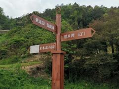 -中山市树木园