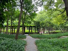 -徐家汇源景区-衡山公园