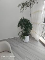 -HEYAN荷妍专业脱毛连锁机构