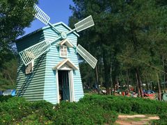 -铁山坪森林公园