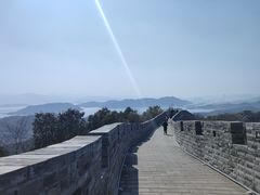 -黄贤森林公园