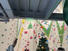 -绿壁虎攀岩基地(Tcar店)