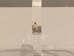 -浙江省博物馆(孤山馆区)