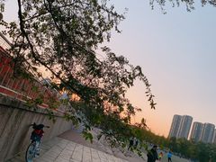 -辽宁大学(崇山校区)