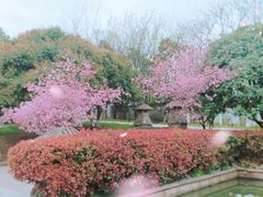 -南京市江宁方山