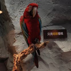 -Zoolung Zoolung动物主题公园(海信广场店)